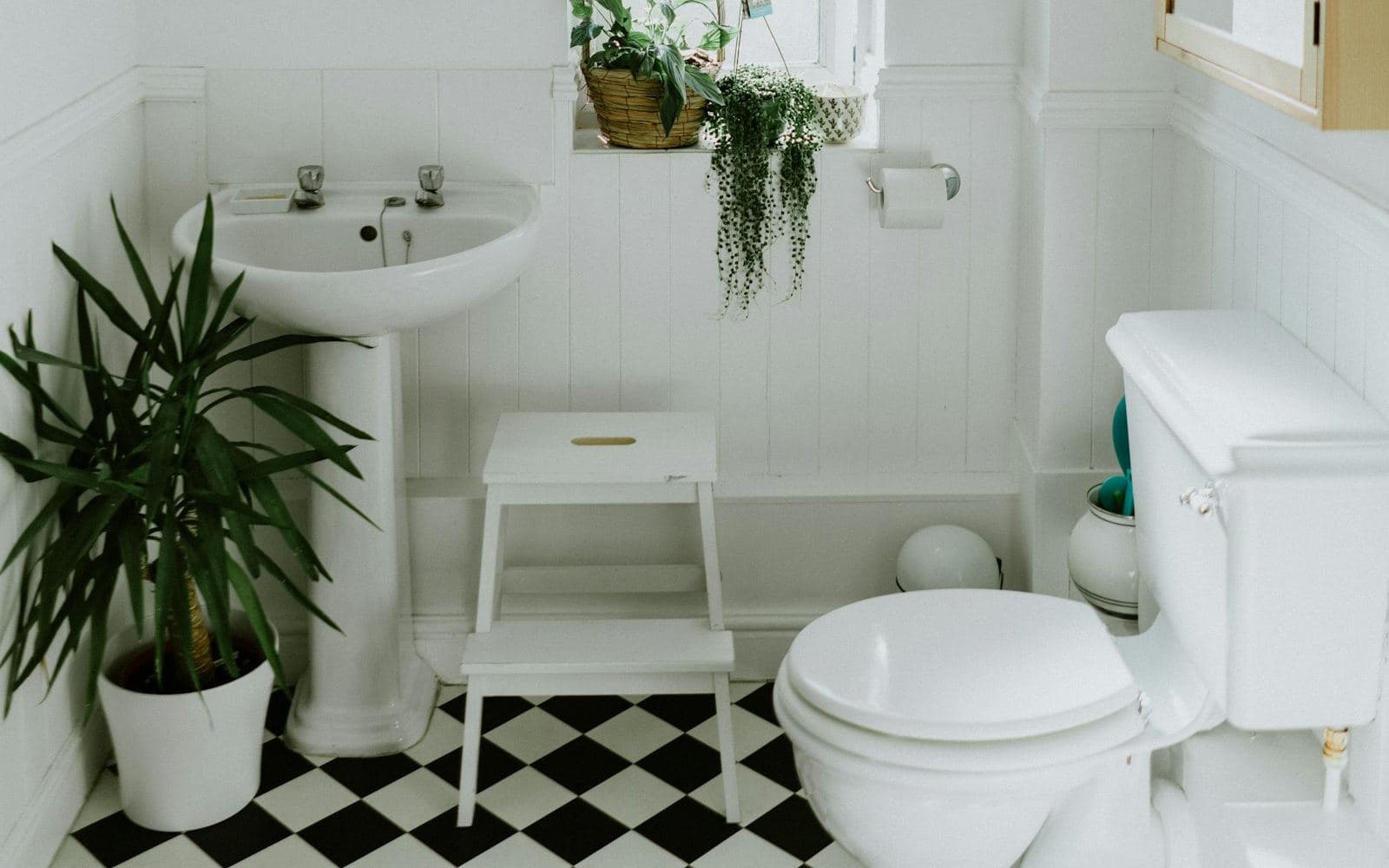 Bathroom fixtures ready for a WaterSense and leak check